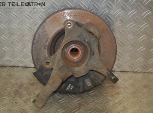 Stub Axle HYUNDAI i20 (PB, PBT)