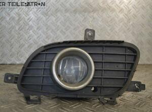 Fog Light MERCEDES-BENZ A-Klasse (W169)