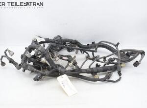 Engine Wiring Harness TOYOTA COROLLA Verso (ZER_, ZZE12_, R1_)