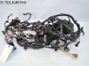 Wiring Harness NISSAN Pixo (UA0)