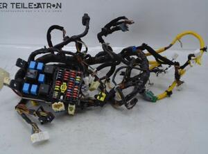 Wiring Harness HYUNDAI i10 (PA)