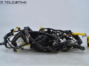 Wiring Harness HYUNDAI i10 (BA, IA)