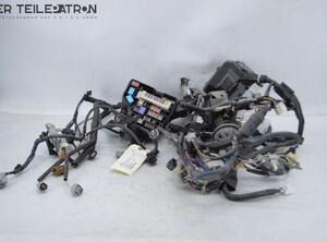 Wiring Harness TOYOTA Verso S (P12)