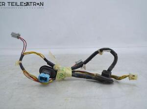 Wiring Harness HONDA CR-V I (RD)