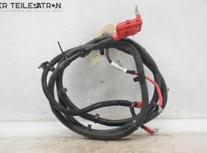 Wiring Harness RENAULT Twingo III (BCM)