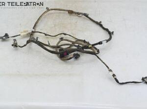 Wiring Harness OPEL Zafira Tourer C (P12)