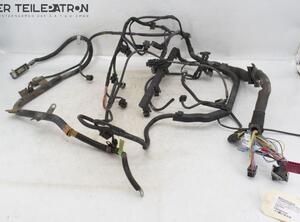 Wiring Harness MERCEDES-BENZ C-CLASS Coupe (CL203)