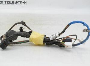 Door Wiring Harness HYUNDAI i10 (PA)