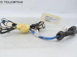 Door Wiring Harness HYUNDAI i10 (PA)