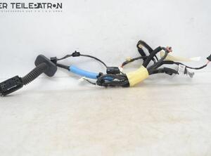 Door Wiring Harness HYUNDAI i10 (BA, IA)