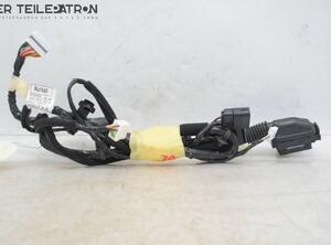 Door Wiring Harness HYUNDAI i10 (BA, IA)