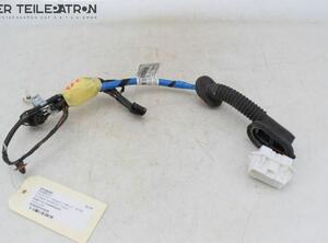 Door Wiring Harness HYUNDAI i10 (PA)