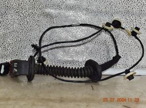 Door Wiring Harness RENAULT TWINGO III (BCM_, BCA_)