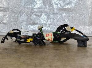 Door Wiring Harness MERCEDES-BENZ S-CLASS (W221)