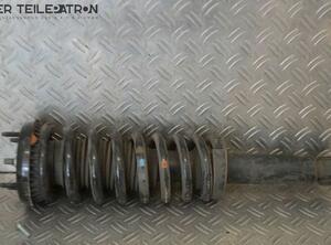 Suspension Strut JAGUAR XF (CC9, J05)