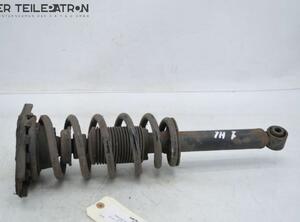 Suspension Strut NISSAN Primera Kombi (WP12)