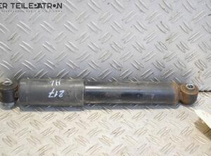 Suspension Strut HYUNDAI i10 (PA)