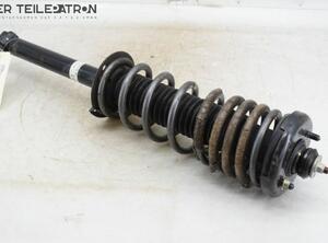 Suspension Strut HONDA Accord VII (CL, CN)