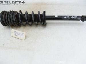 Suspension Strut HONDA Accord VII (CL, CN)