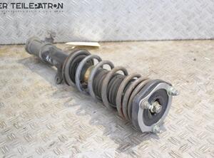 Suspension Strut TOYOTA MR 2 III (ZZW3)