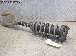 Suspension Strut HONDA Accord VII (CL, CN)