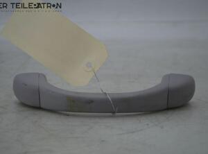 Grab Handle HYUNDAI i10 (BA, IA)