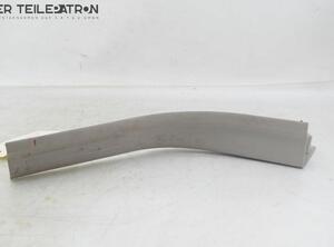 Door Sill VOLVO S40 II (544)