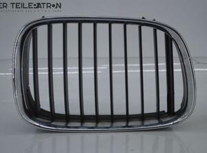 Radiator Grille BMW 5er (E39)