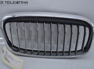 Radiator Grille BMW 3er Cabriolet (E46)