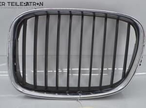 Radiator Grille BMW 5 (E39)