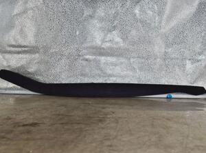 Trim Strip Door VW GOLF PLUS (5M1, 521)