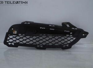 Bumperplaat JAGUAR XF (CC9, J05)