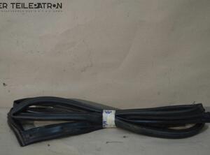 Door Seal HYUNDAI i30 Coupe (--), HYUNDAI i30 (GD)