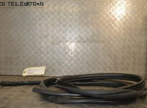 Door Seal NISSAN Qashqai +2 I (J10, JJ10E, NJ10)