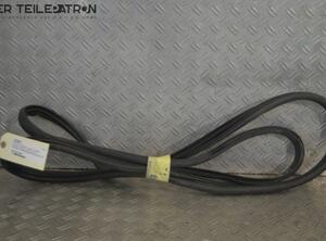 Door Seal HYUNDAI i20 (GB, IB)