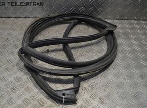 Door Seal HYUNDAI i10 (PA)