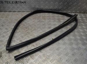 Door Seal HYUNDAI i10 (PA)