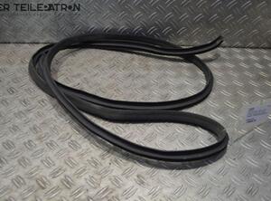 Door Seal HYUNDAI i10 (PA)