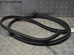 Door Seal HYUNDAI i10 (PA)