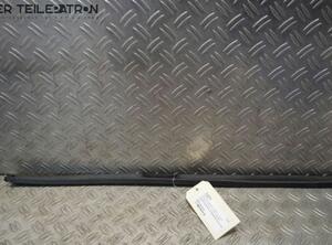 Door Seal HYUNDAI i10 (PA)