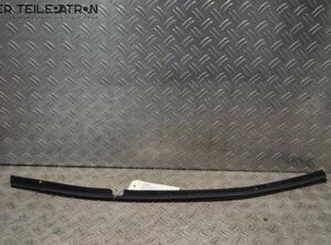 Door Seal HYUNDAI i10 (PA)