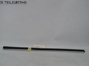 Door Seal HYUNDAI i10 (PA)