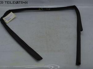 Door Seal OPEL Antara (L07)