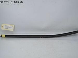 Door Seal MERCEDES-BENZ A-Klasse (W169)