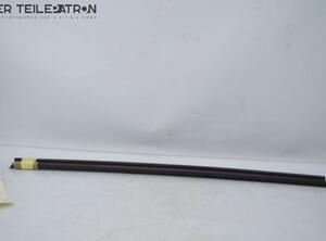 Door Seal MERCEDES-BENZ A-Klasse (W169)