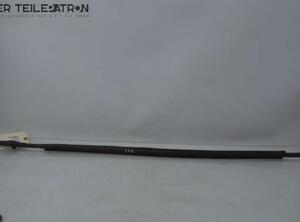 Door Seal TOYOTA Verso S (P12)