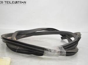 Door Seal HYUNDAI i10 (PA)