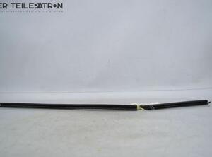 Door Seal HYUNDAI i10 (PA)