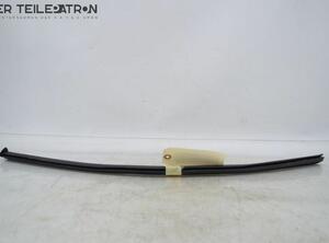 Door Seal HYUNDAI i10 (PA)