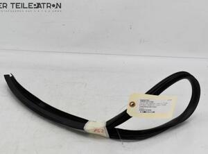 Door Seal DAIHATSU Terios (J2), DAIHATSU Terios (J2_)